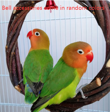 21527f7494a62e39865567a192af3273